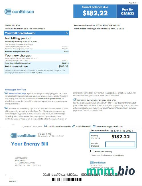 USA NEW YORK CONEDISON rachunek za media Word i PDF template, version 2